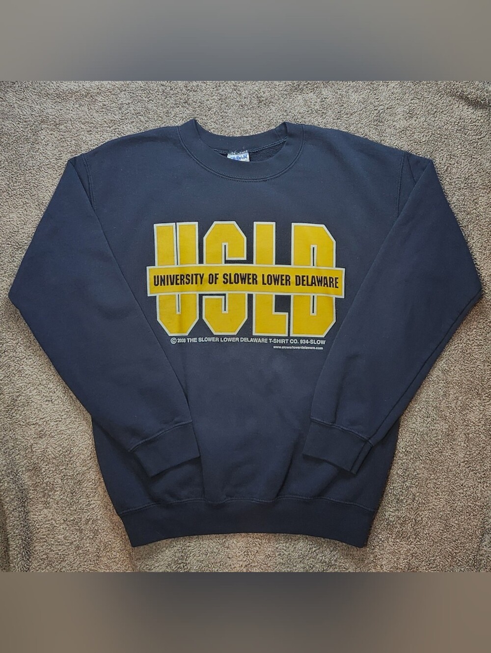 Vintage University of Slower Lower Delaware Navy Crewneck Sweatshirt Rare VTG